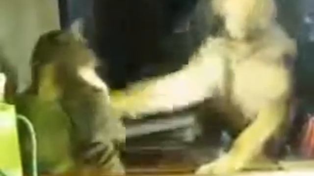 Не терпила смотреть онлайн