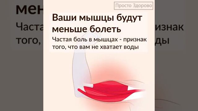 Вот как изменится ваше тело, если будете регулярно пить воду смотреть онлайн