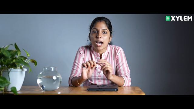 Introduction to Business Studies | Commerce Plus one | Xylem Plus One Commerce смотреть онлайн