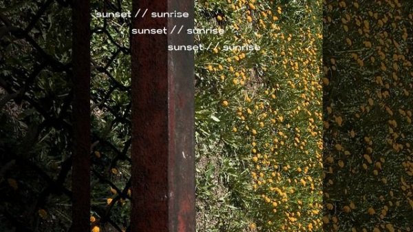 Платина - Нотр-Дам Париж (ceeplaya Bootleg)