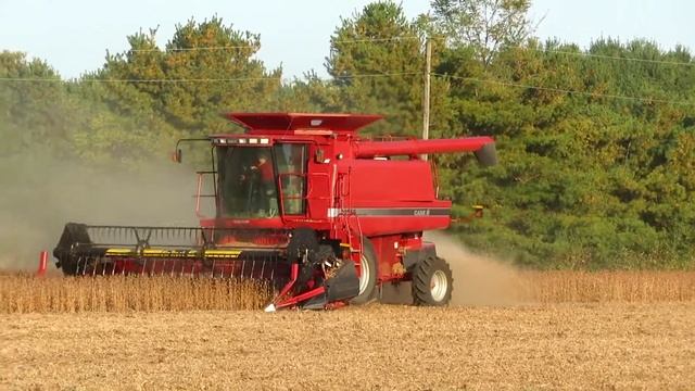 Harvest 2020 | Case IH Axial Flow 2366 Combine Harvesting Soybeans | Soybean Harvest 2020