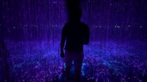 Сингапур. 96 часов. Что посетить и как без визы попасть в Сингапур?