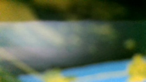 По утрам, надев трусы, не забудьте про часы(наброски)