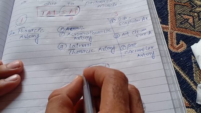 #Axillary #Artery смотреть онлайн