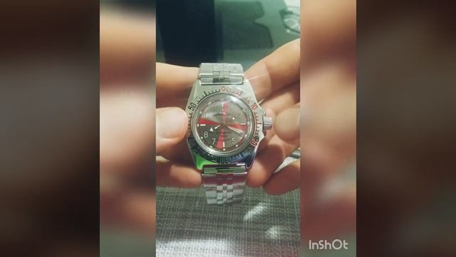 Russian Amphibian (Amphibia) Vostok 110651