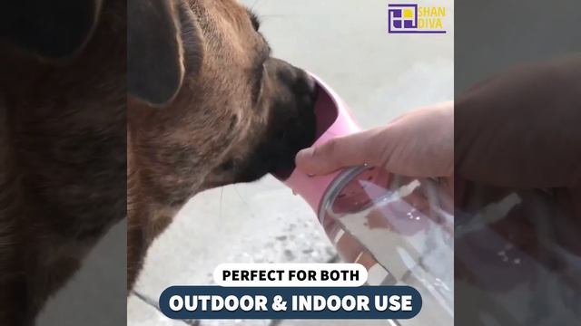 Pet Dog Water Bottle Portable смотреть онлайн