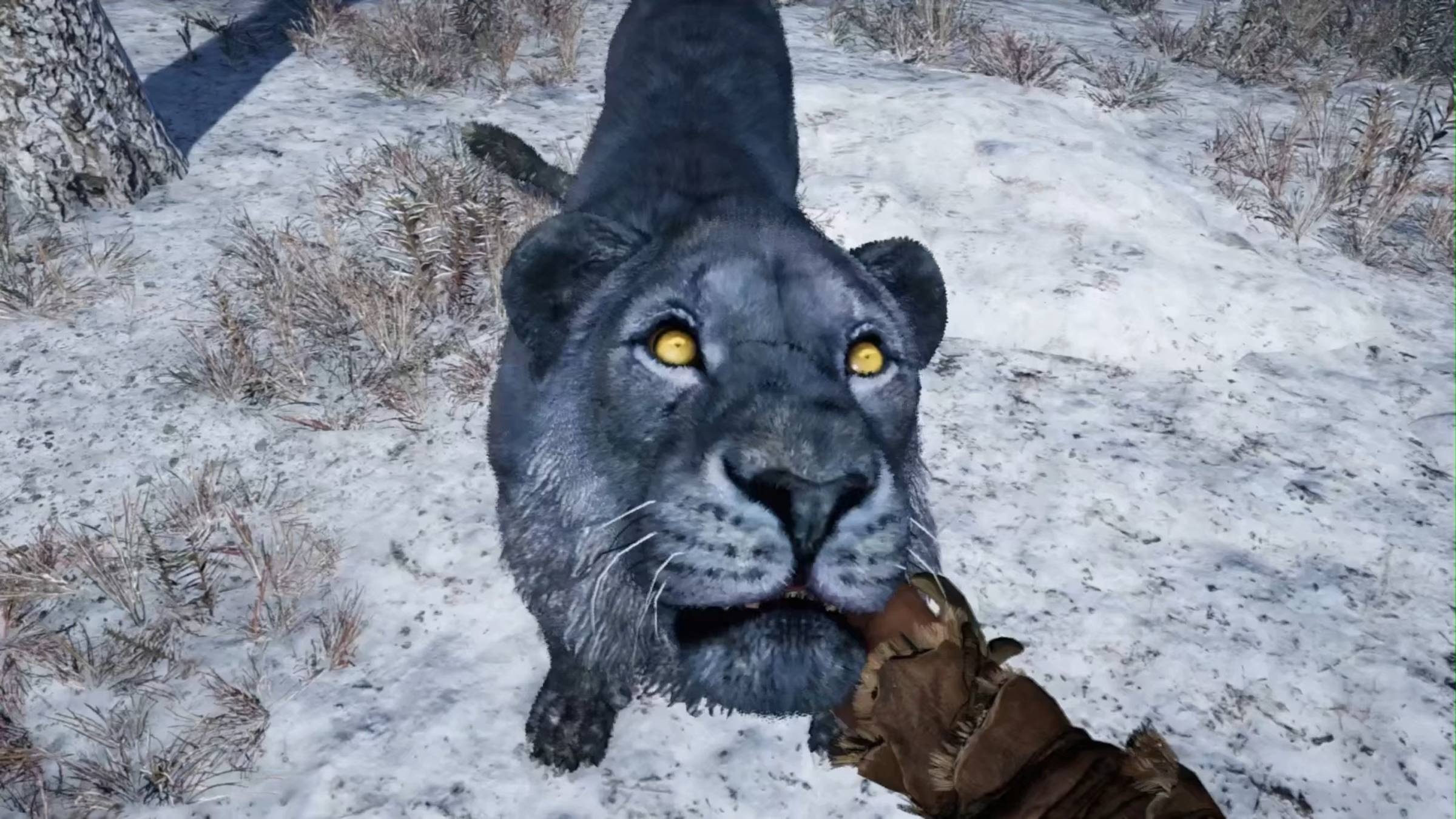 САМАЯ ОПАСНАЯ ЧЕРНАЯ ПАНТЕРА! ТОЛЬКО У МЕНЯ! (Far Cry Primal #29) смотреть онлайн