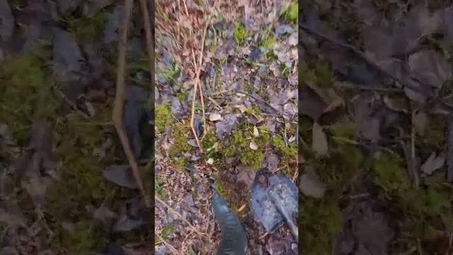2 ЧАСА КОПА, НЕ МНОГО НО ЕСТЬ ПРИЯТНЫЕ НАХОДКИ))) смотреть онлайн