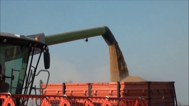 CLAAS In Campo LEXION 750 - Carenzo смотреть онлайн