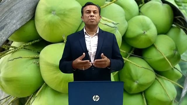 नारियल का होलसेल बिज़नेस कैसे शुरू करे ,Coconut Wholesale Business, Nariyal Ka Business Kaise Kare смотреть онлайн