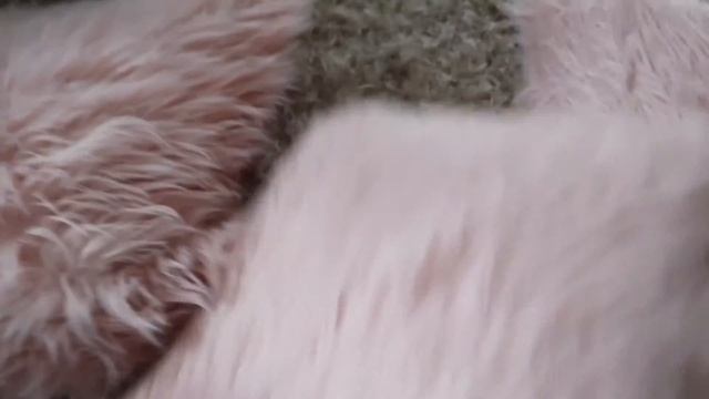 🌸 HOME DECOR HAUL! HOME GOODS~ROSS~TARGET🌸 смотреть онлайн