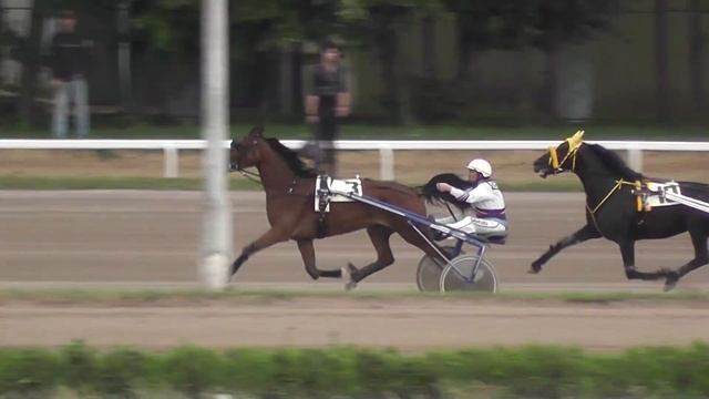 ЦМИ Ипподром. Приз Барса.1 гит смотреть онлайн