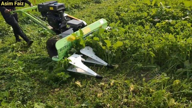 Amazing Reaper Machine || Mini Reaper || Fooder Cutter Machine || Mini Reaper Machine ||By Asim Fai смотреть онлайн