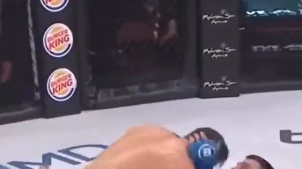 Вадим Немков vs Райан Бейдор. Бой за титул чемпионвюа Белатор.