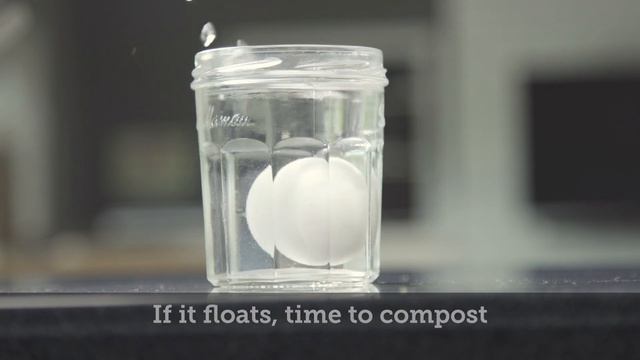 Stop Food Waste: The Fresh Egg Test смотреть онлайн