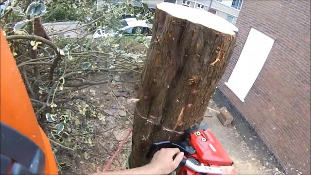 Shindaiwa SX600 getest en goed bevonden door Pendula Boomzorg смотреть онлайн