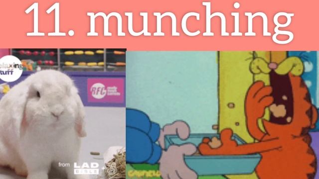 Class 1 English Story 16 Summer Holidays Word Wall / Word Meaning Sentences / Cbse / Education Vide