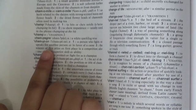 Which English Dictionary is right for you? смотреть онлайн