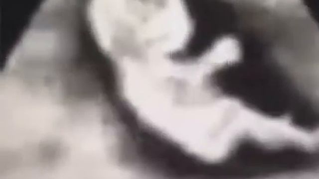 Самый маленький водитель смотреть онлайн