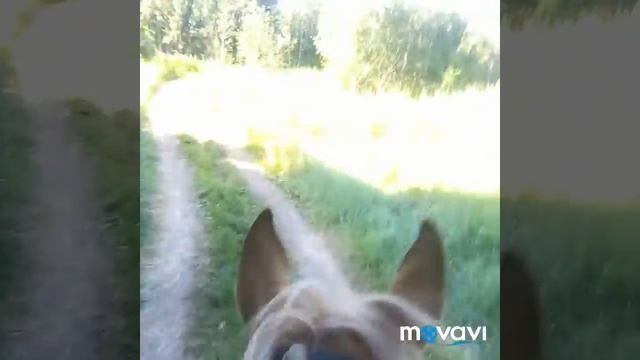 Лето, прекрасная пора смотреть онлайн