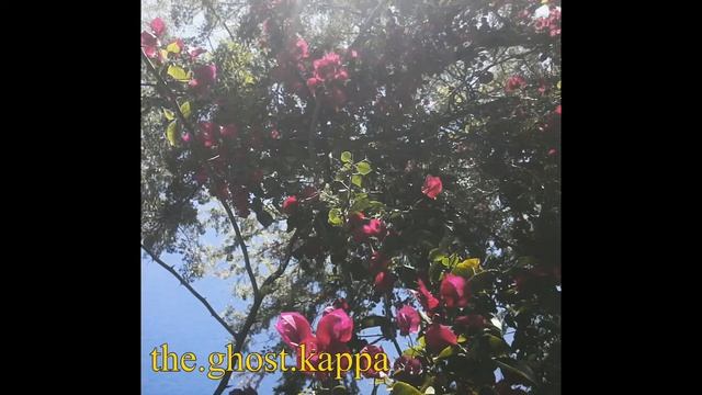 the.ghost.kappa - beat.tape02 смотреть онлайн