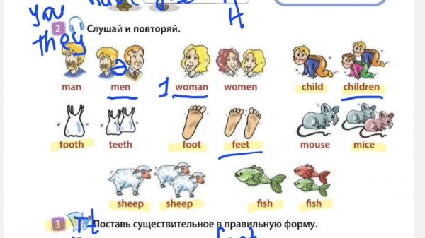 стр 8 номер 2. модуль 5 спотлайт 3 класс. часть 2. существительное исключения в английском man men