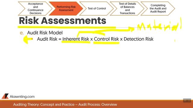 Audit Process: Overview смотреть онлайн