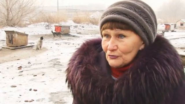 Кот и Пес смотреть онлайн