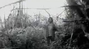 Beck - Loser (Official Music Video)