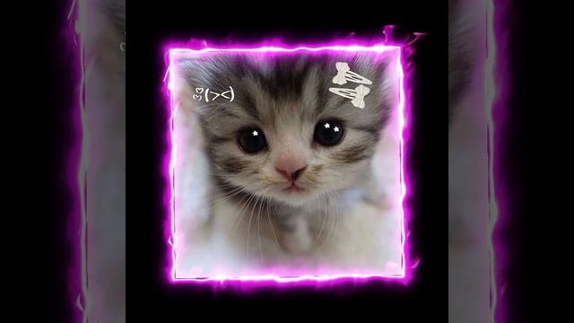 песня ——— банкомат :3🎧