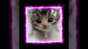 песня ——— банкомат :3🎧