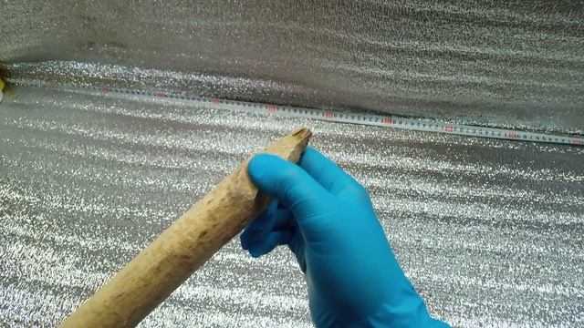 Палка бобра серии: "Лесной Заклинатель" смотреть онлайн