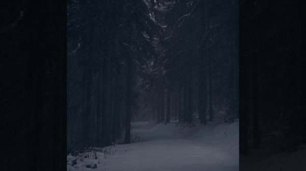 Адлин - Зима | 1 hour