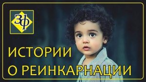 Обычная реинкарнация ｜ Истории наших зрителей