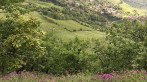 Лезгинские песни 2025