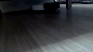 Робот-пылесос