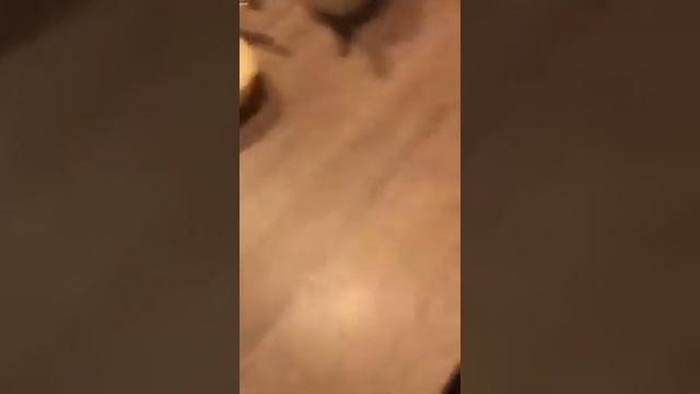 Как бесплатно получить пиццу.. смотреть онлайн