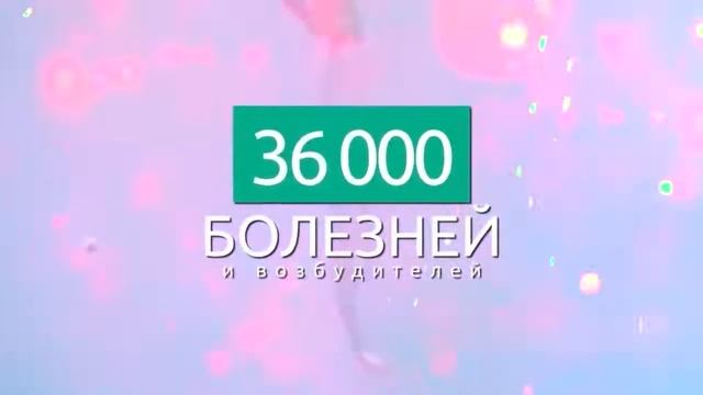 Коротко о всех направлениях Бизнес Процесс Текнолоджис Business Process Technologies смотреть онлайн