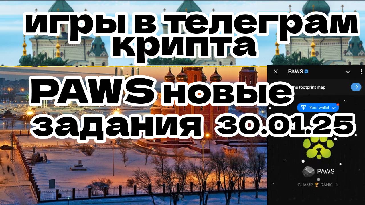 PAWS новые задания 30.01.25