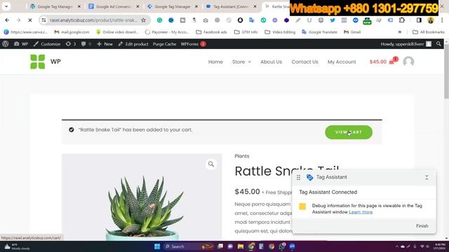 How to Setup Google Ads Conversion Tracking And Remarketing in Wordpress webiste 2024 Tutorial смотреть онлайн