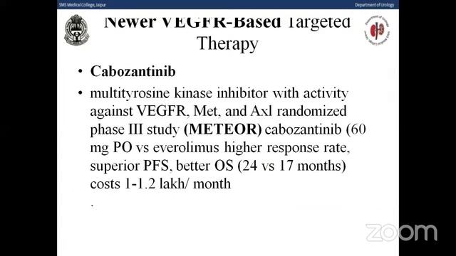 SEMINAR-Management Of Metastatic RCC Dr Satyaveer Singh, Moderator Dr S S Yadav смотреть онлайн