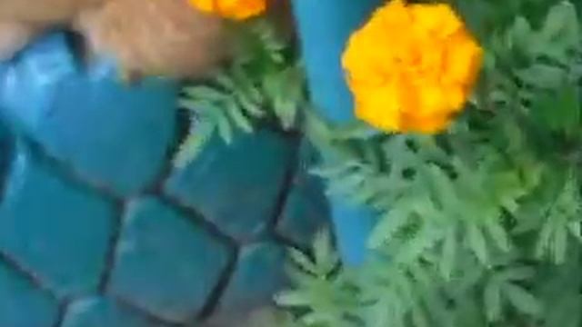 купили чипсы смотреть онлайн