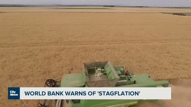 Business Report: Would a 4-day workweek work? смотреть онлайн