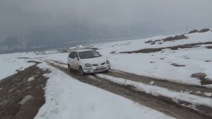 Ниссан Тино - хитрый самурай