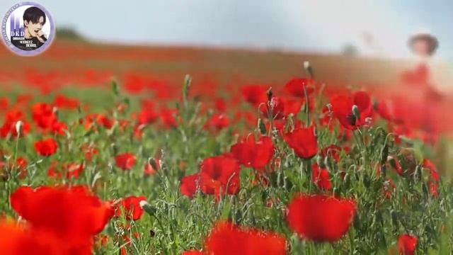 День рождение Димаша,kyrgyz dears смотреть онлайн