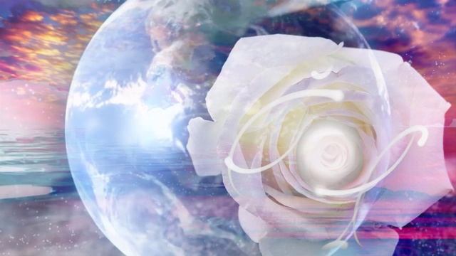 Visualization-White Rose Of Peace