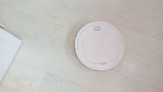посылочки пришли кот в шоке смотреть онлайн