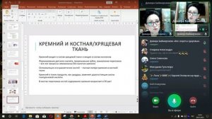 КРЕМНИЙ -незаменимый элемент для соединительной ткани