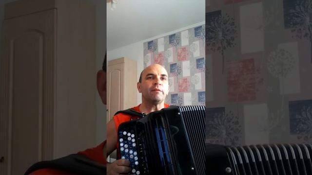 Песня "Брюшко'. смотреть онлайн