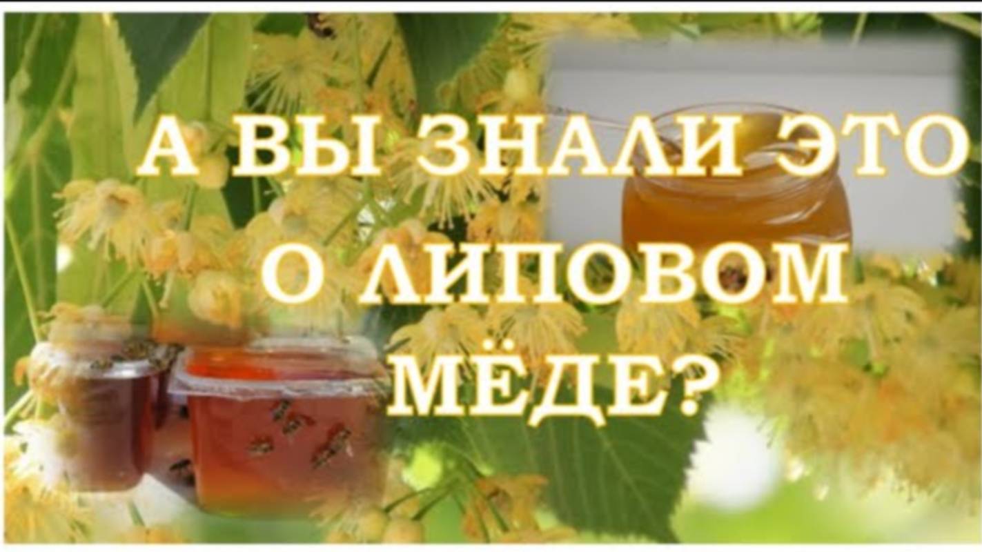 А вы знали это про липовый мёд? смотреть онлайн